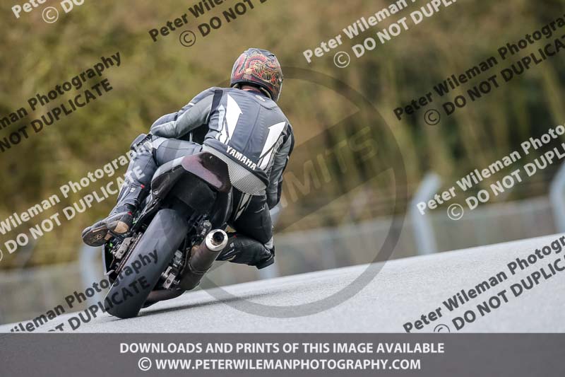 Oulton Park 14th March 2020;PJ Motorsport Photography 2020;anglesey;brands hatch;cadwell park;croft;donington park;enduro digital images;event digital images;eventdigitalimages;mallory;no limits;oulton park;peter wileman photography;racing digital images;silverstone;snetterton;trackday digital images;trackday photos;vmcc banbury run;welsh 2 day enduro